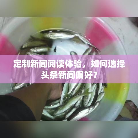 定制新聞閱讀體驗(yàn)，如何選擇頭條新聞偏好？