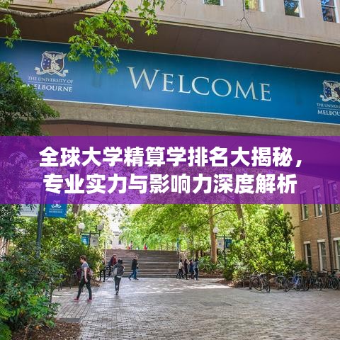全球大學(xué)精算學(xué)排名大揭秘，專業(yè)實(shí)力與影響力深度解析