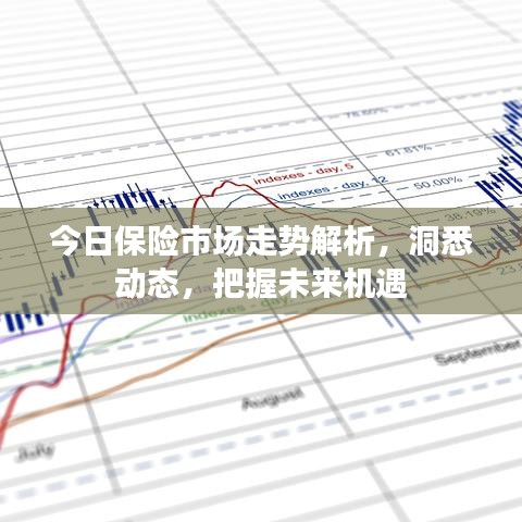 今日保險(xiǎn)市場走勢解析，洞悉動(dòng)態(tài)，把握未來機(jī)遇