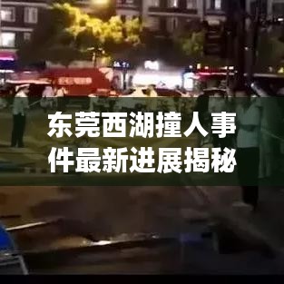 東莞西湖撞人事件最新進(jìn)展揭秘，視頻曝光、細(xì)節(jié)揭秘及社會(huì)反響強(qiáng)烈
