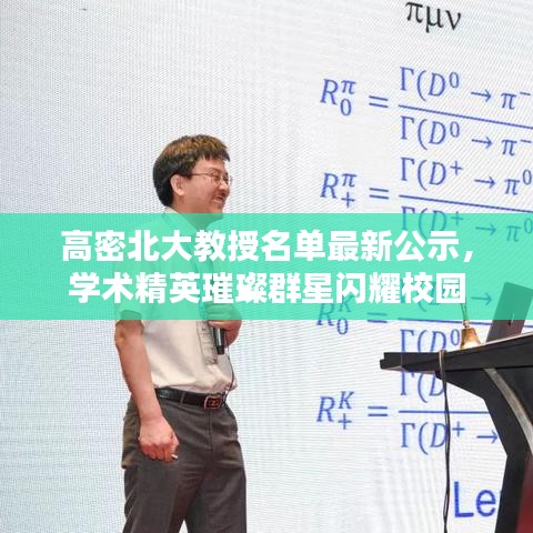 高密北大教授名單最新公示，學(xué)術(shù)精英璀璨群星閃耀校園