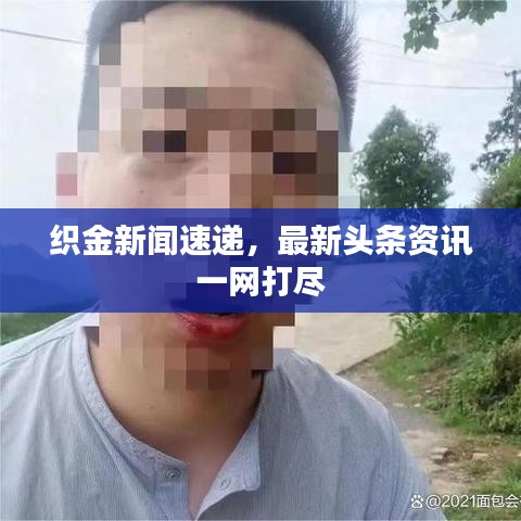 織金新聞速遞，最新頭條資訊一網(wǎng)打盡