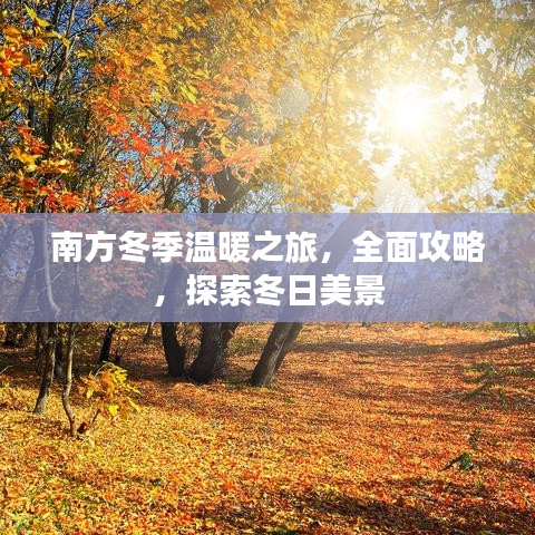 南方冬季溫暖之旅，全面攻略，探索冬日美景