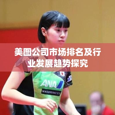美圖公司市場排名及行業(yè)發(fā)展趨勢探究