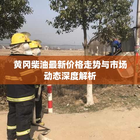 黃岡柴油最新價格走勢與市場動態(tài)深度解析
