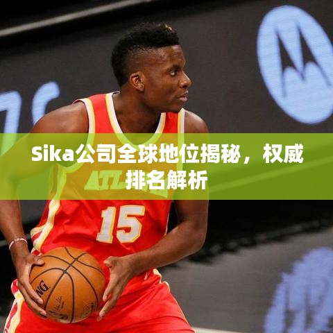 Sika公司全球地位揭秘，權威排名解析