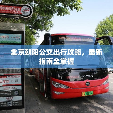 北京朝陽公交出行攻略，最新指南全掌握
