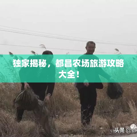 獨(dú)家揭秘，都昌農(nóng)場旅游攻略大全！