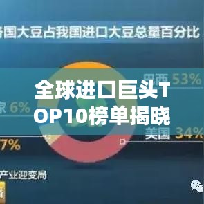 全球進口巨頭TOP10榜單揭曉，揭秘全球貿(mào)易格局的新動態(tài)