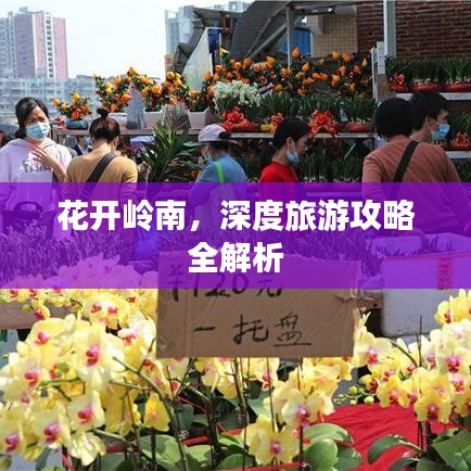 花開(kāi)嶺南，深度旅游攻略全解析