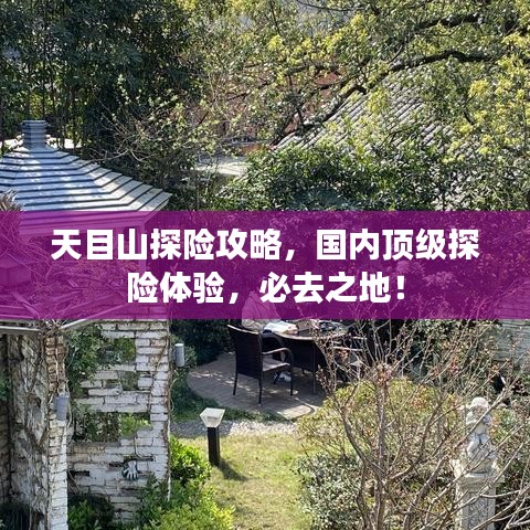 天目山探險攻略，國內(nèi)頂級探險體驗，必去之地！