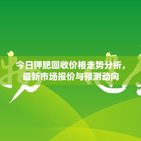 今日鉀肥回收價(jià)格走勢分析，最新市場報(bào)價(jià)與預(yù)測動向
