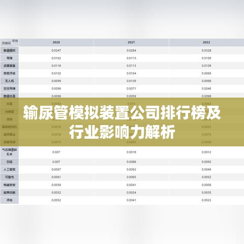 輸尿管模擬裝置公司排行榜及行業(yè)影響力解析