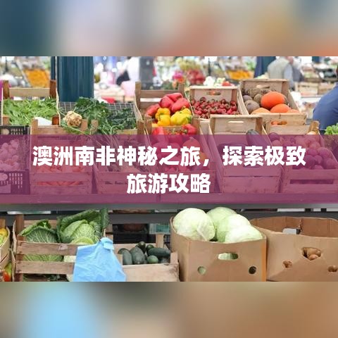 澳洲南非神秘之旅，探索極致旅游攻略
