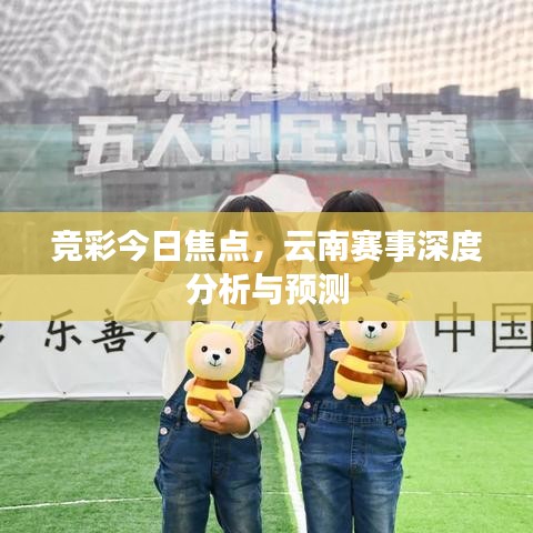 競彩今日焦點，云南賽事深度分析與預測