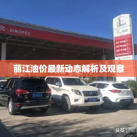 麗江油價最新動態(tài)解析及觀察