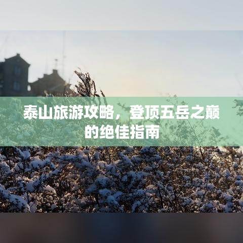 泰山旅游攻略，登頂五岳之巔的絕佳指南