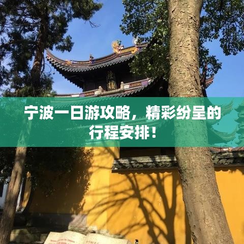寧波一日游攻略，精彩紛呈的行程安排！