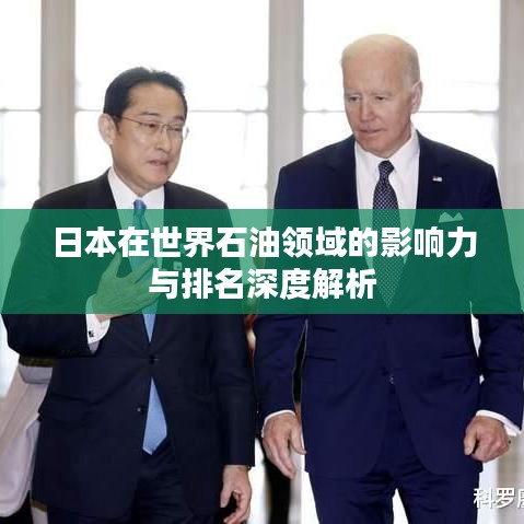 日本在世界石油領域的影響力與排名深度解析