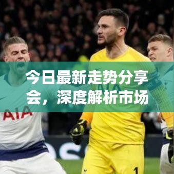 今日最新走勢(shì)分享會(huì)，深度解析市場(chǎng)趨勢(shì)，洞悉先機(jī)！