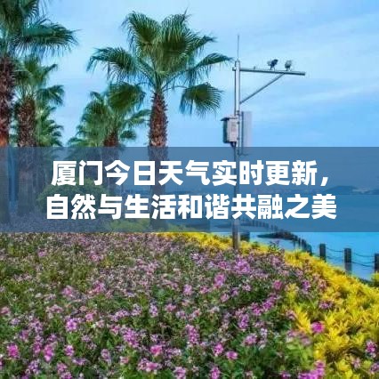 廈門今日天氣實時更新，自然與生活和諧共融之美